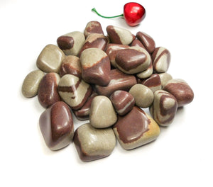 Shiva Lingam Tumbled Polished Stones Crystals Natural Gemstones