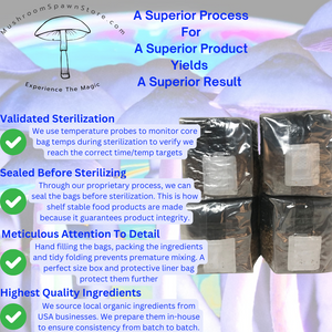 Mushroom Grow Kit - 4 Pack - Magic All In One Mushroom Grow Bags