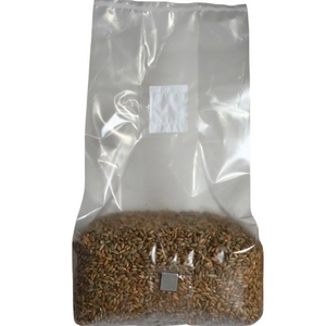 Sterile Mushroom Grain Spawn Bag (5 Pound)