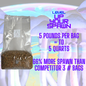 Sterile Mushroom Grain Spawn Bag (5 Pound)