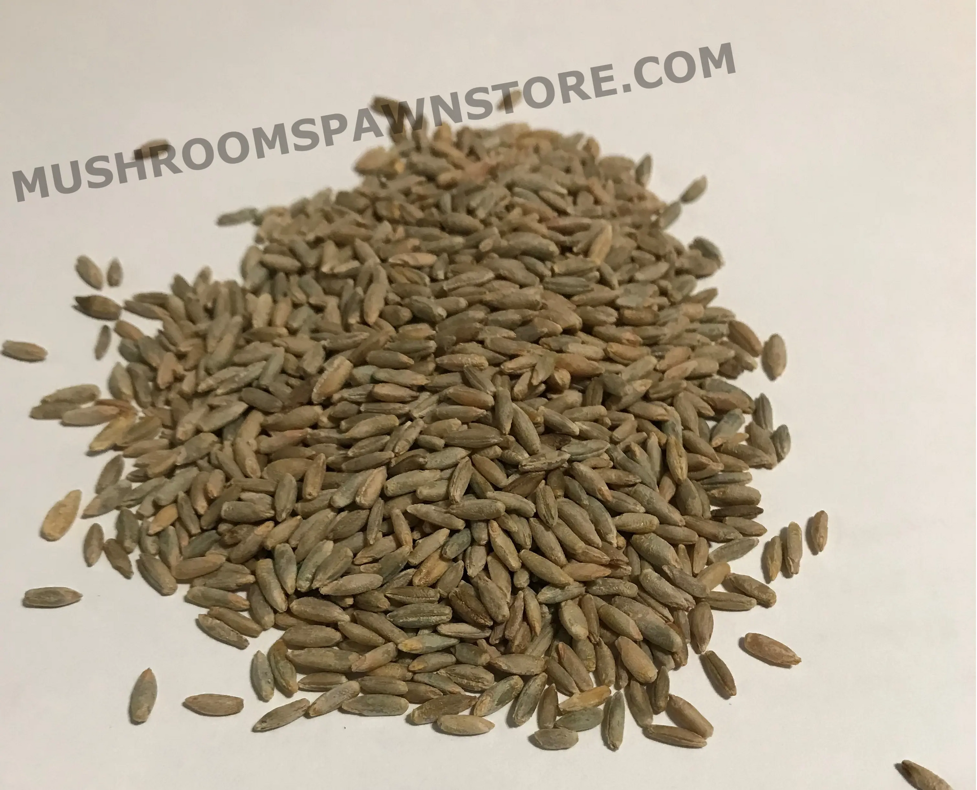 Dry Organic Rye Berries