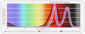 TotalGrow Pure Flowering 200 Lamp (trigger long days)