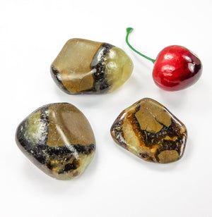 Septarian Nodule Tumbled (UV Reactive)(3 Pcs) Polished Natural Gemstones Healing Crystals And Stones