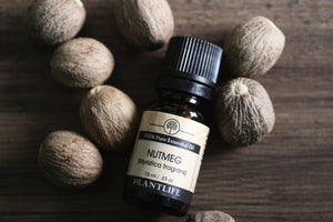 Nutmeg Essential Oil