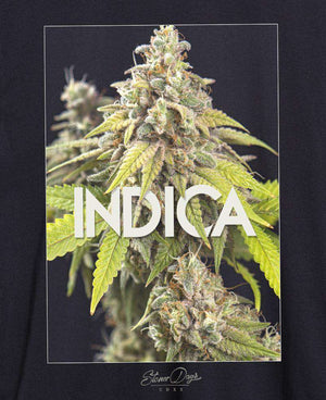 MEN'S INDICA TEE