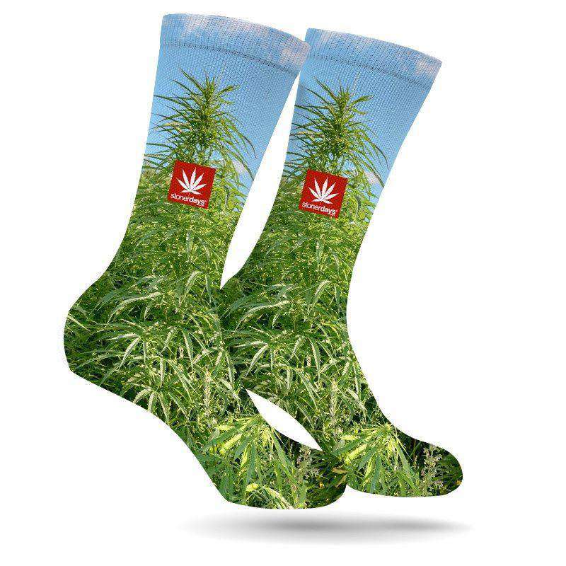 MONEY GROWS ON TREES CREW SOCKS