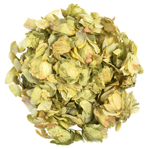 Hops (Humulus lupulus) Organic Dried Flowers 50g 1.76oz