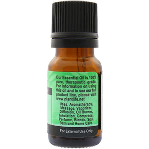 Pine Needle Essential Oil