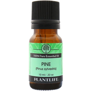 Pine Needle Essential Oil