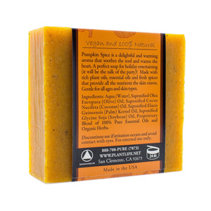 Pumpkin Spice Bar Soap