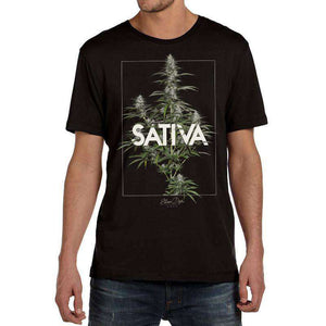 MEN'S SATIVA TEE