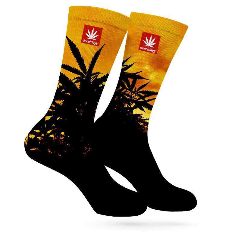 SUNSET WEED SOCKS