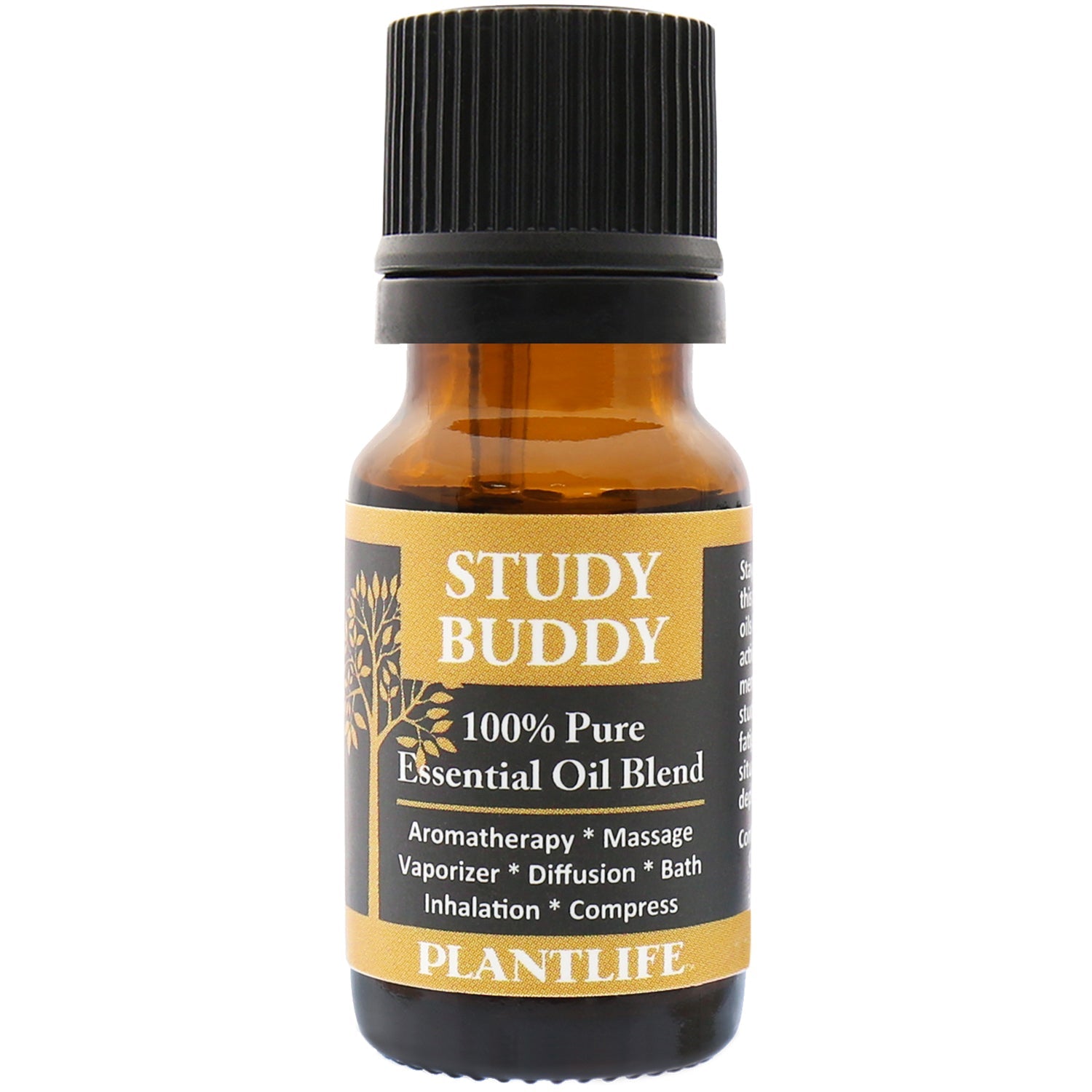 Study Buddy Essential Oil Blend