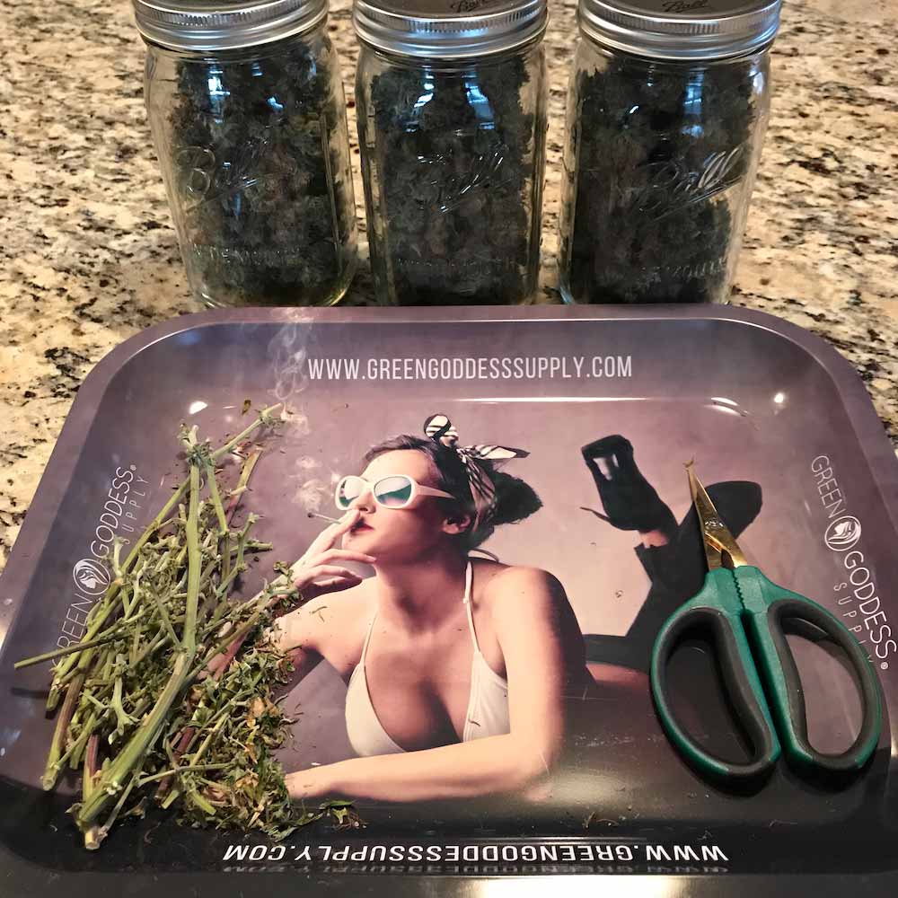 Extra Large 14 x 12 Trimming Tray (Rolling Tray) - Quonset Hut